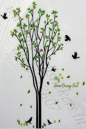 Free Will My Lime Orange Tree Quote Big Tree with Birds and Leaves ...