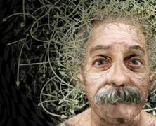 Ingenious_brain_of_Albert_Einstein-222x180.jpg