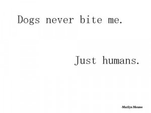 Bite Me Quotes Dogs never bite me. just