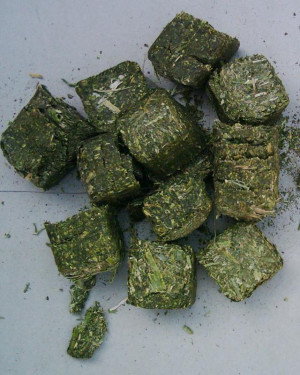 alfalfa cubes alfalfa pellets