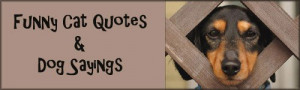 Funny Cat Quotes Funny Dog Sayings - cute dog poking head through ...