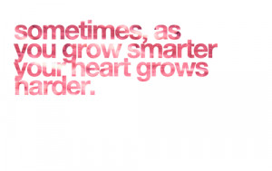 Facebook Twitter Google Tumblr