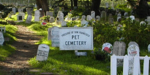 PetCemetary.jpg