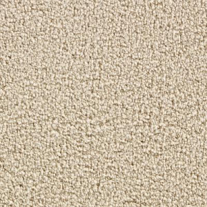Martha Stewart Living - Burghley lI - Buckwheat Flour Carpet - Per Sq ...
