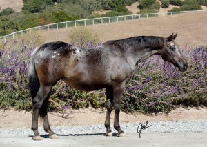 Found on showgirlglitz.tumblr.com