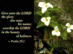 ... -his-name-worship-the-lord-in-the-beauty-of-holiness-bible-quote.jpg