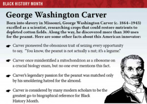 George Washington Carver George washington carver
