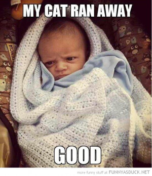 Description : funny pictures angry baby,funny colorado laws,funny ...