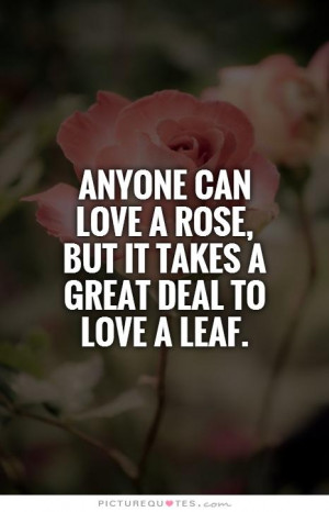 ... love a rose, but it takes a great deal to love a leaf Picture Quote #1