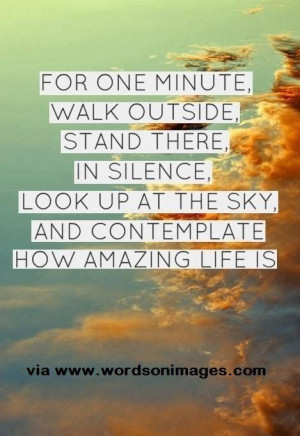 Amazing quote about appreciating life