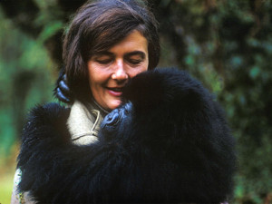 Dian Fossey Pictures