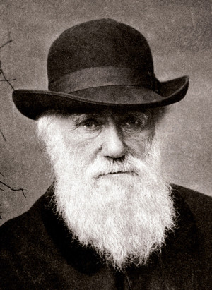 Charles Darwin Quotes on Society