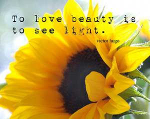 Beautiful Sunflower Quotes and Sayings