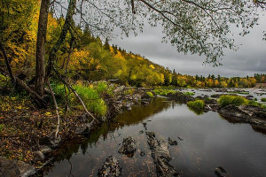 Jay Cooke State Park by Paul Freidlund