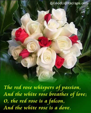 ... rose-breathes-of-love-the-red-rose-is-a-falcon-and-the-white-rose-is-a