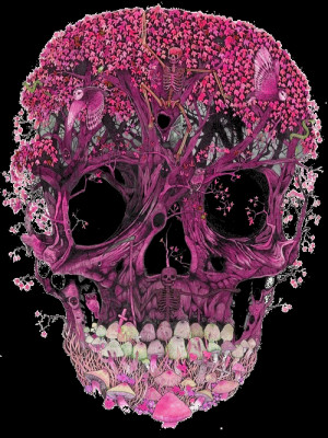This transparent skull will look sick on your blog! Not my art, just ...