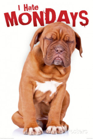 Don't see what you like? Customize Your Frame