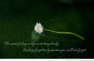 ... Not Being Lonely, Its Being Forgotten By Someone You Could Not Forget