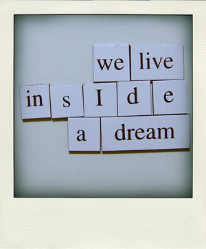 dream, magnets, polaroid, quote, text, typography, words