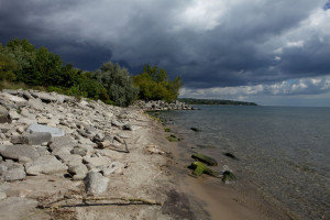 Scallops Feel Acidification’s Impact; Lessons to Be Learned From ...