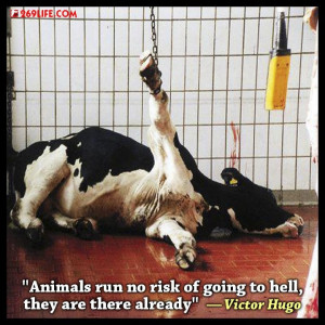 Animals run no risk of going to hell; they are there already.
