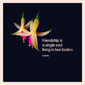 Instagram Quotes About Friendship picture