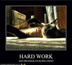 haRD WOrk - funny-pictures Fan Art