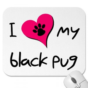 love my Black Pug...
