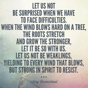 Facing difficulties with resilience. #suffering #faith Amy Carmichael ...