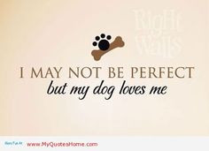 dog lovers quotes | My dog love, and I love my dog More