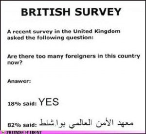 Funny Political Cartoons and Memes-british-survey.jpg