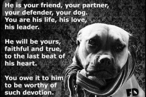 Pit Bull Quotes