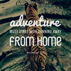 Inspiration quote #travel #quotes #travelingilove