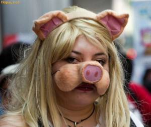 images of miss piggy various funny pictures funpub net wallpaper