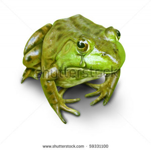 Sad Frog Crying Green frog crying isolated