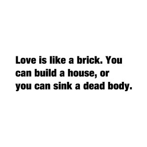 love is like a brick you can build a house or you can sink a dead body