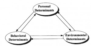 Image of Social learning theory