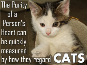 ... Heart Can Be Quickly Measured By How They Regard Cats - Animal Quote