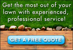 Get a free lawn care quote from Bee Green Lawn Care Service