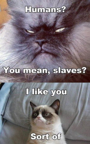 Humans, you mean slaves?