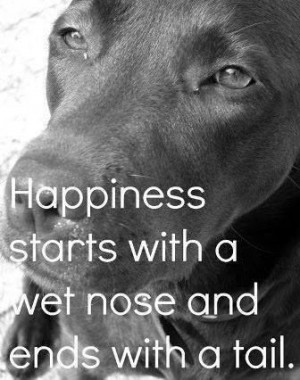 29 #Quotes #About #Dogs To Show You Why They’re Man’s Best Friend