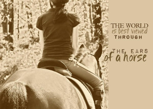 horse photography with quote va horse quotes horse art photography