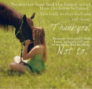 ... had on a horse, no matter the behavior or problems that may have arose