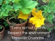 Every sprout counts, respect the environment” quote via 7 year old ...