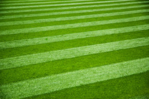... practices in keeping your lawn healthy grasses are like most plants if