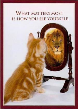 what matters most #quote #cat #lion #animal #spirithoodsuk # ...