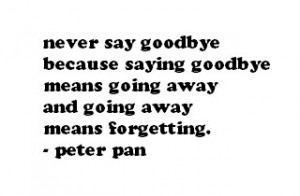 Peter Pan: Goodbye & Forgetting photo z99229937.jpg