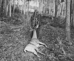 remember it is just the internet