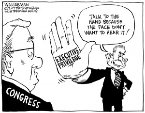 executive branch political cartoons 2013