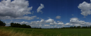 Panoramic Sky